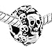 CharmSStory Skull Halloween Skeleton Spacer Charm Beads Charmss for Bracelets