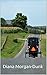 Shattered Dreams (My Amish Home Book 5)