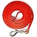 Logical Leather 6 Foot Dog Leash - Best for Training - Heavy Full Grain Leather Lead - Red