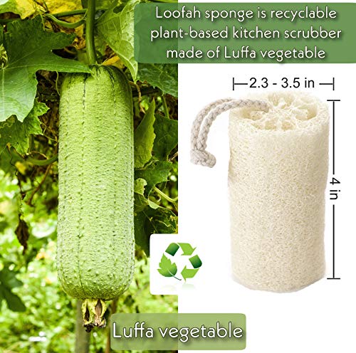 Bamboo Towels, Reusable Paper Towels, 2 Rolls, 60 Sheets, Natural Loofah Dish Sponge, Kitchen Towels, Unpaper Towels, Eco Friendly Products, Washable Recycled Organic Kitchen Napkins