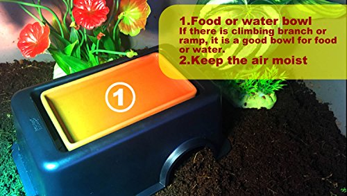 pranovo Reptile Hide Cave Box Humidifier Caves Water Supply Hideout with Sink Basin for Small Reptile Lizard Spider Snake Turtle Amphibian - Thumbnail 3