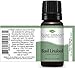 Plant Therapy Basil Linalool Essential Oil 10 mL (1/3 oz) 100% Pure, Undiluted, Therapeutic Grade
