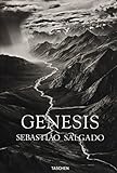 Genesis by 