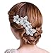 EVER FAITH Silver-Tone Bridal 3 Orchid Flower Clear Austrian Crystal Hair Comb