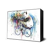 Creator of the Universe