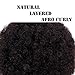 AISI QUEENS Synthetic Afro Puff Drawstring Bun Ponytail Short Kinky Curly Hair Bun Extension Hairpieces Updo Hair Extensions with Two Clips(6inch,4#)