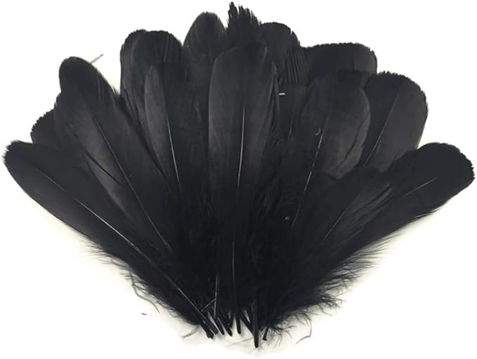 Feathers, Goose Feathers Black Goose Nagoire Wholesale Feathers (Bulk