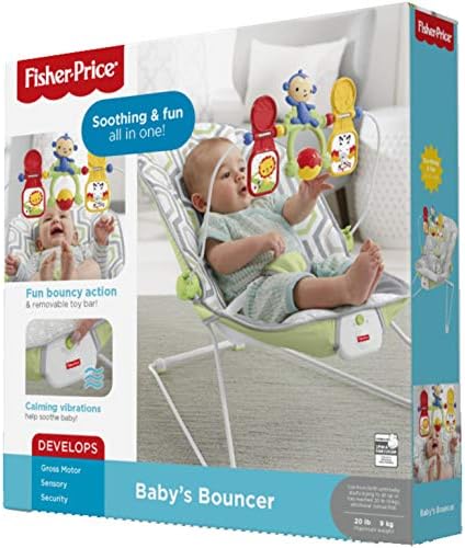 fisher price one bouncer