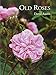 Old Roses