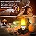 DILISENS LED Flame Effect Light Bulbs-Newest Upgraded 4 Modes Flickering Fire Simulated Lamps-for Halloween/Christmas Decoration/Home/Festival, Small, 2 Count