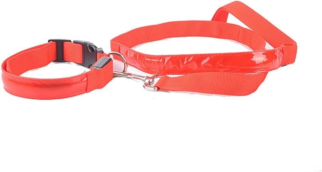 dog leads amazon uk