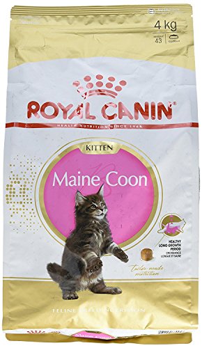 Royal Canin Kitten Maine Coon 36 Dry Mix 4 kg