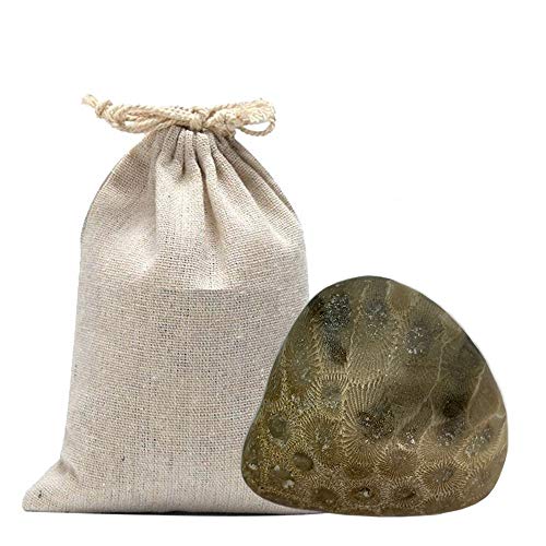 6 Petoskey+Stone+Polished+Michigan+Natural