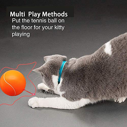 Nice Dream Automatic Cat Toy with LED Light, Cats Interactive Chase Toy for Cats Rotating Catch Training, Adjustable 3 Speeds (Orange Ball) - Thumbnail 3