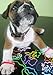 Silly Bandz Rock Bandz - 24 Pack