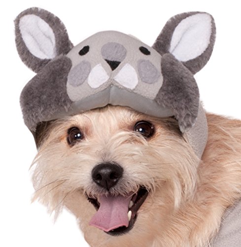 Rubies Costume Company Squirrel Pet Costume, Large