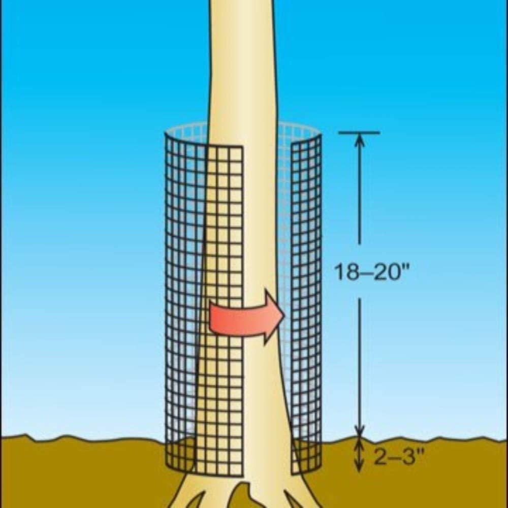 Amagabeli 48x50 Hardware Cloth 1/4 inch Square Galvanized Chicken Wire Welded Fence Mesh Roll Raised Garden Bed Plant Supports Poultry Netting Cage Wire Snake Fence: Home Improvement