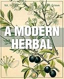 A Modern Herbal (Volume 2, I-Z and Indexes) by 