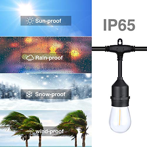 Delxo 52FT LED Outdoor String Lights Wind and Rainproof Commercial Heavy Duty, E26 Socket 18 x 1W 19 Edison Light Bulb (1 Spare), Coffee Shop Wedding Party Gazebo Camping Tent Awning Decoration