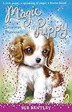Magic Puppy Classroom Princess