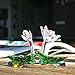 H&D Crystal Lotus Flower Figurine Glass Ornaments Table Decoration