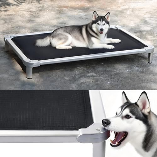 Senneny Elevated Chew Proof Bed