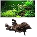 Hamiledyi 3 Pcs Natural Driftwood Branches Reptiles Aquarium Fish Tank Decoration, Largethumb 1