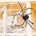 Joyjoz Halloween Decorations with 110 Sqft Giant Spider Web, 60” Big Fake Large Spider for Scary Halloween Yard Door & Outdoor Decor, Halloween Party Favor