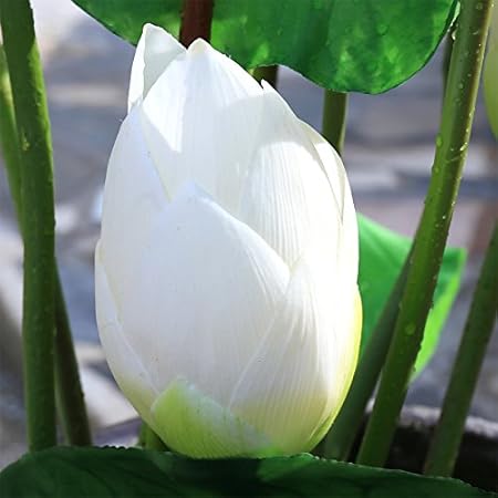 Yueyue947 Simulation Lotus Lotus Nénuphar Lotusfaux Jardin