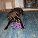 TUFFY - World's Tuffest Soft Dog Toy - Barnyard Pig- Multiple Layers. Made Durable, Strong & Tough. Interactive Play (Tug, Toss & Fetch). Machine Washable & Floats