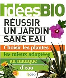 Réussir un jardin sans eau