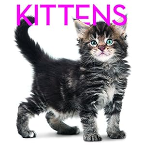 Kittens Cubebook: Cube Book
