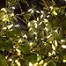 Twinkle Star 300 LED Christmas Mini String Lights, 99 FT Fairy Lights with Safe Adapter for Indoor Outdoor Home Garden Party Christmas Decoration, Warm White