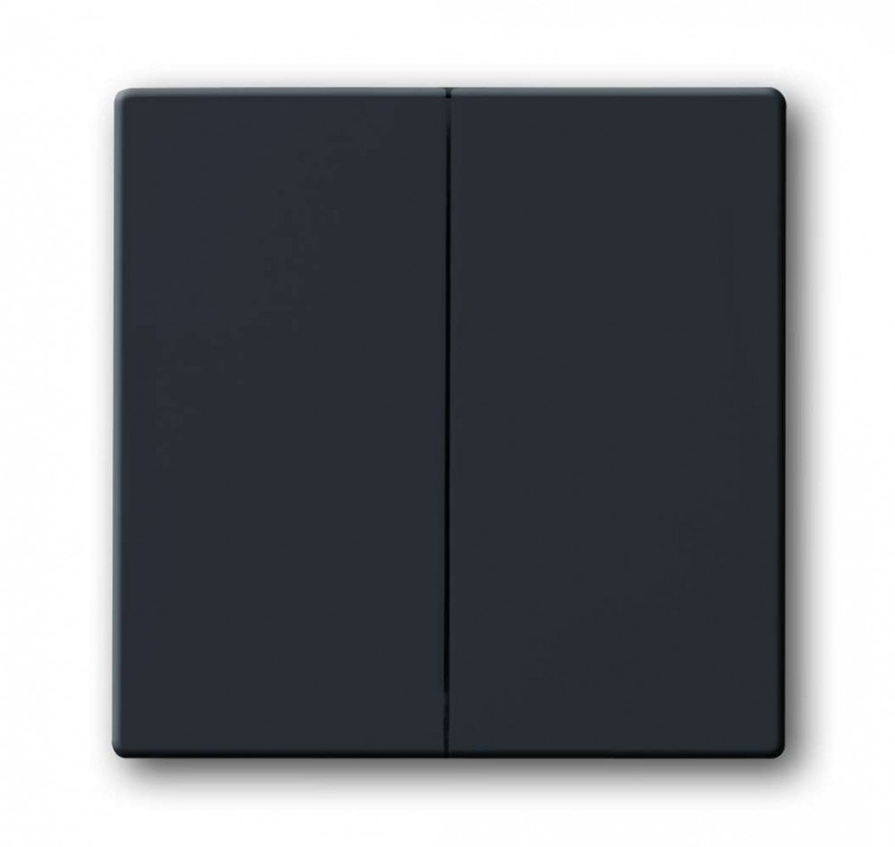 Busch-Jaeger 1785-24G 81 Rocker