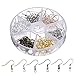 Outus Earring Hooks Ear Wires Fish Hook with Storage Case, 6 Colors, 120 Pieces