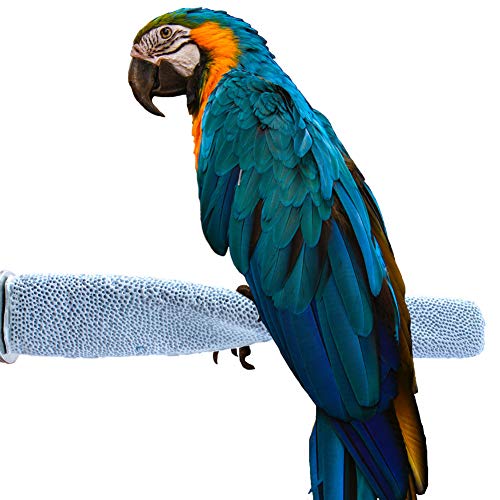 Parrot Perch Stand for Cage | Pet Bird Perch Stand to Trim Nails and Beak | Edible Calcium Carbide with Stainless Steel Washers – Safe and Non-Toxic (Pack of 1)