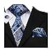 Hi-Tie Mens Silk Tie set Blue Paisley