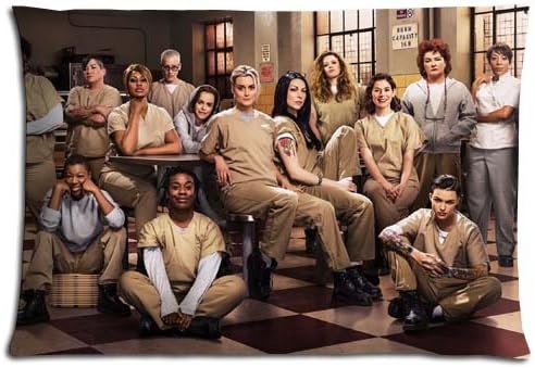 Orange Is the New Black Polyester / Cotton Conveniently Floor Pillow Shell Cases Zippered Inspirational 20x30 inch 50x76 cm