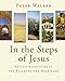 In the Steps of Jesus: An Illustrated Guide to the Places of the Holy Land by