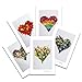 Love - Sea Glass Hearts Postcard Prints. Variety Pack Number Three. 2 Each of 5. 4x6 Best for Birthday Cards, Thank You Notes & Invitations. Unique Christmas & Valentine's Day Gifts