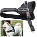 unho Dog Body Harness Padded Extra Big Large Medium Small Heavy Duty Vary from All Kinds of Size (L)