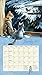 Lang 2017 Love of Cats Wall Calendar, 13.375 x 24 inches (17991001926)