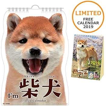 Amazoncom Shiba Inu Calendar 2020 Dog Breed Calendar