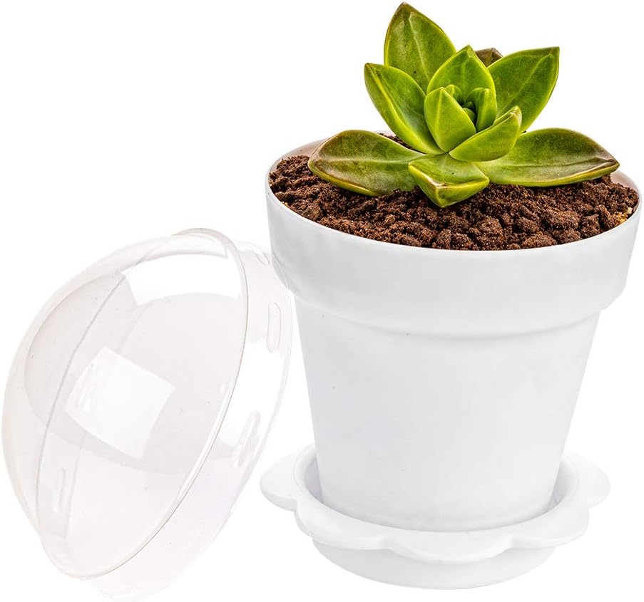 6 oz White Plastic Mini Flower Pot Cup - with Lid - 3" x 3" x 3" - 100 count box - Restaurantware