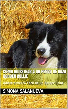 Como Adiestrar A Un Perro De Raza Border Collie Adiestramiento Facil De Un Border Collie Spanish Edition Kindle Edition By Salanueva Simona Crafts Hobbies Home Kindle Ebooks Amazon Com
