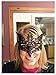 Fox Shape Hollow Out Lace Halloween Evening Party Prom Masquerade Mask Lace Mask