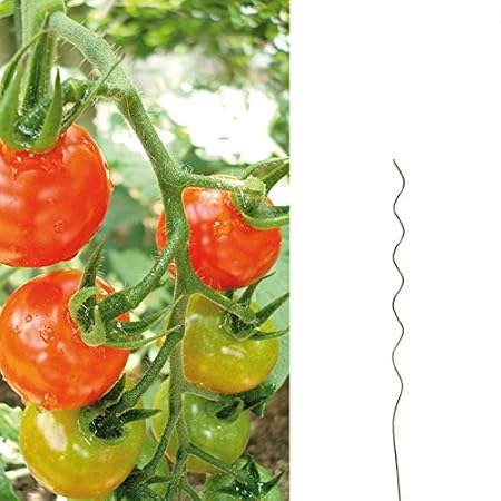 Postes en espiral para tomateras, longitud de 110 cm, acero ...