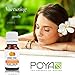 Orange Essential Oil (Sweet) 10 ml (0.33 fl. Oz.) - GCMS Tested, 100% Pure, Undiluted and Therapeutic Grade