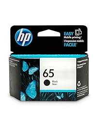 Cartucho HP 65 Original Negro (N9K02AN).