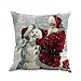 Nation Throw Pillow Cover 18x18 Christmas Pillow Covers Home Car Decorative,Square(O)